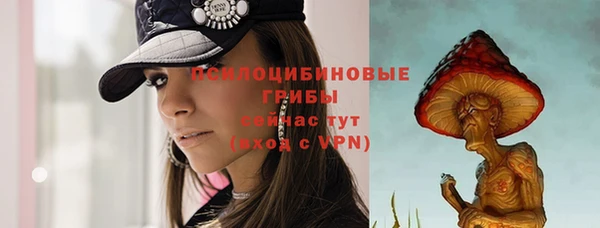 МДПВ Пролетарск